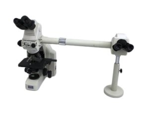 Nikon Eclipse E400 Microscope