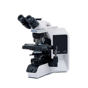 Olympus BX 43 Microscope