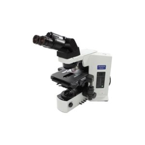Olympus BX 51 Microscope