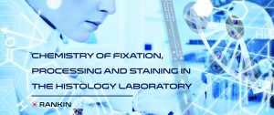 Chemistry of Fixation, Processing and Staining in the Histolog Laboratory