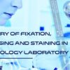 Chemistry of Fixation, Processing and Staining in the Histology Laboratory