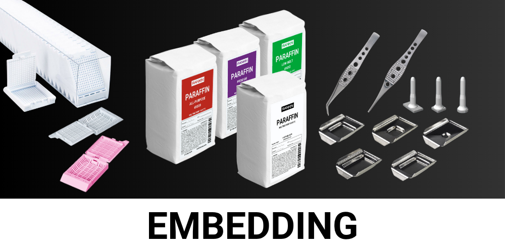 EMBEDDING (1)