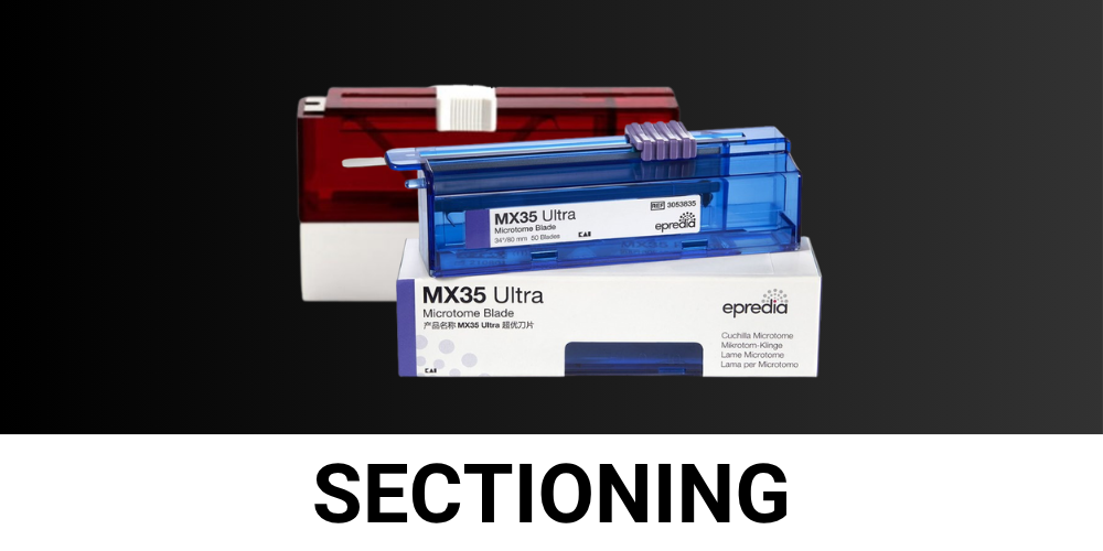 SECTIONING (1)