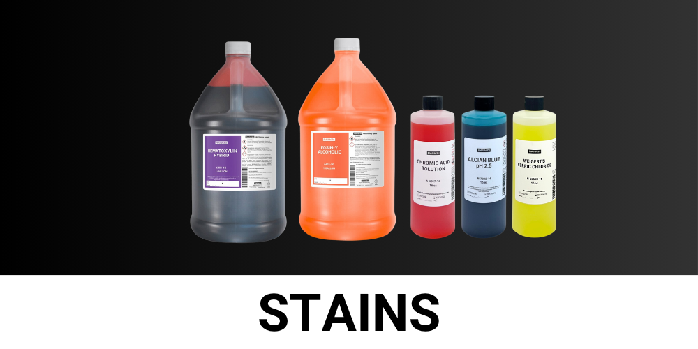 STAINS (1)
