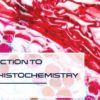Introduction to Immunohistochemistry
