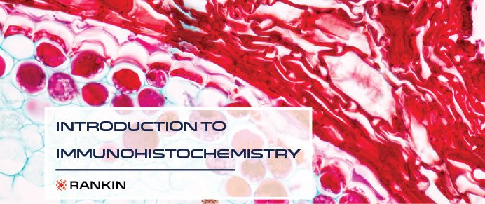 Introduction to Immunohistochemistry